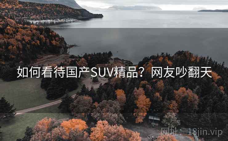 如何看待国产SUV精品？网友吵翻天